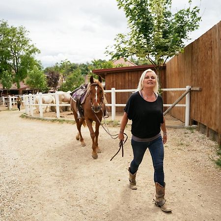 Ranchzimmer Am Hippo-Campus Reit- Und Therapiezentrum Deutsch Haslau Luaran gambar