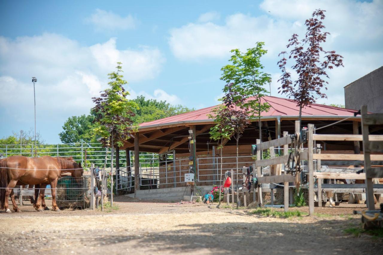 Ranchzimmer Am Hippo-Campus Reit- Und Therapiezentrum Deutsch Haslau Luaran gambar