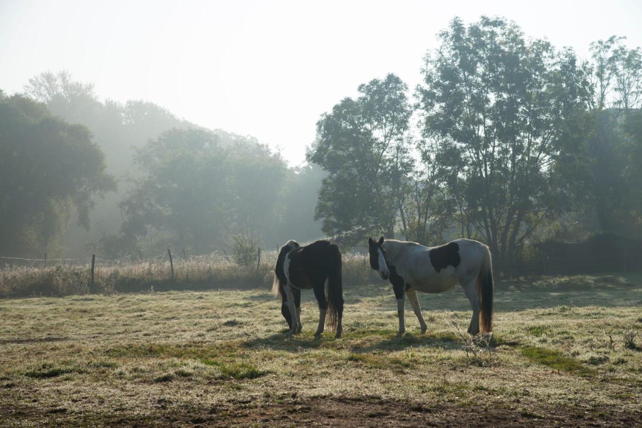 Ranchzimmer Am Hippo-Campus Reit- Und Therapiezentrum Deutsch Haslau Luaran gambar